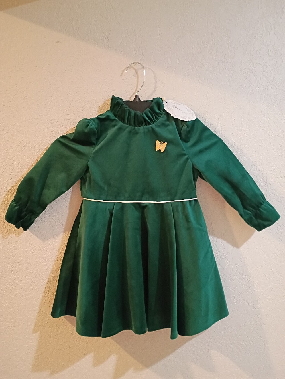 Pettigirl Girl's Vintage-look Long Sleeve Velvet Lined Holiday Dress Size 2 NWT